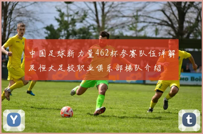 中国足球新力量462杯参赛队伍详解及恒大足校职业俱乐部梯队介绍