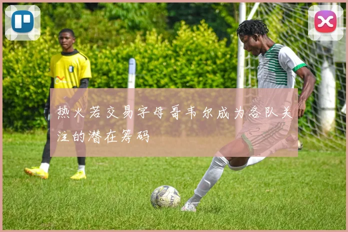热火若交易字母哥韦尔成为各队关注的潜在筹码