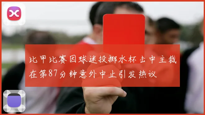 比甲比赛因球迷投掷水杯击中主裁在第87分钟意外中止引发热议