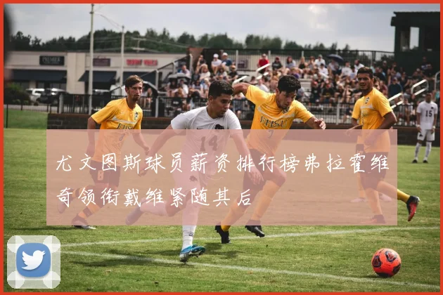 尤文图斯球员薪资排行榜弗拉霍维奇领衔戴维紧随其后