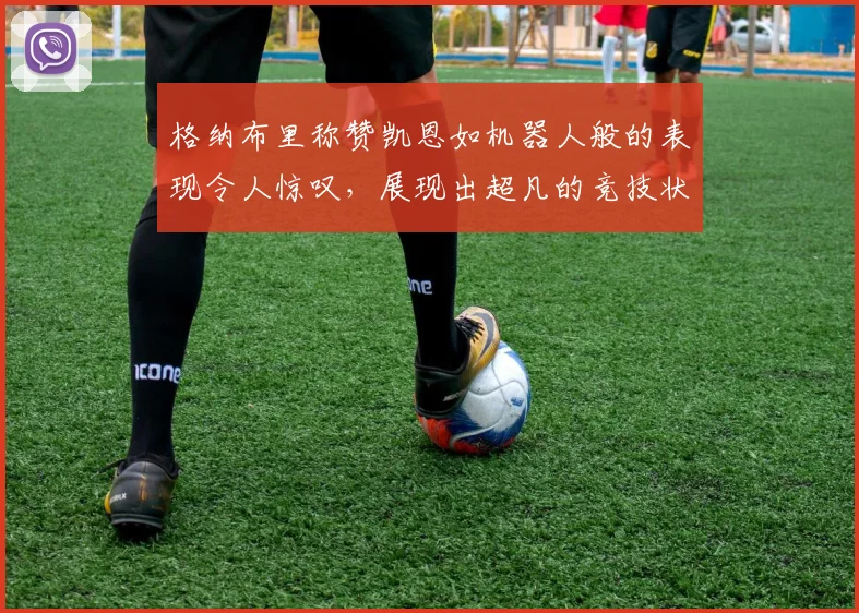 格纳布里称赞凯恩如机器人般的表现令人惊叹，展现出超凡的竞技状态